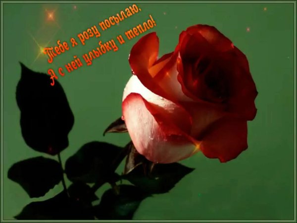 тебе от меня