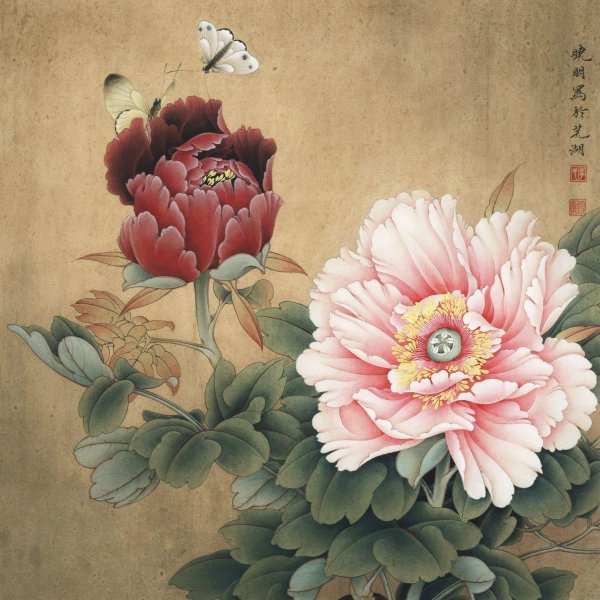 пионы гунби