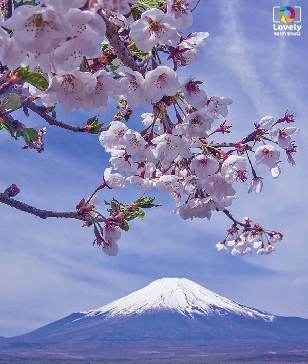 япония фудзияма