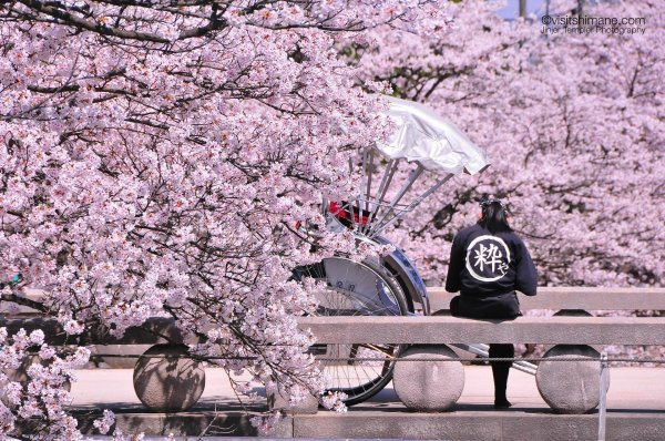 Японские с цветами