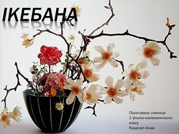 икебана стиль морибана