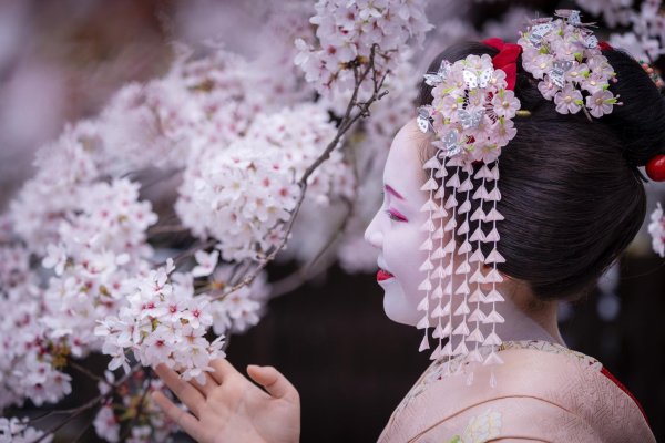 японские украшения для волос