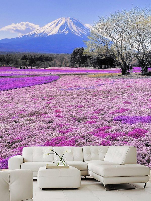 японские пейзажи