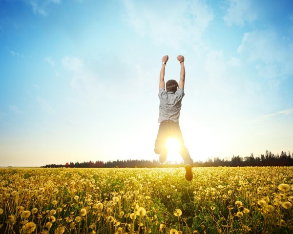 счастье солнце