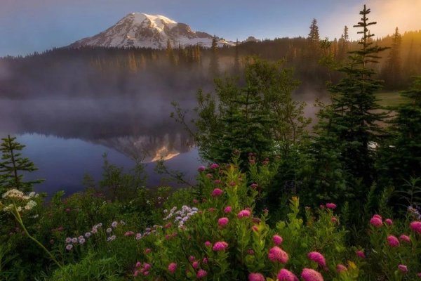национальный парк маунт рейнир