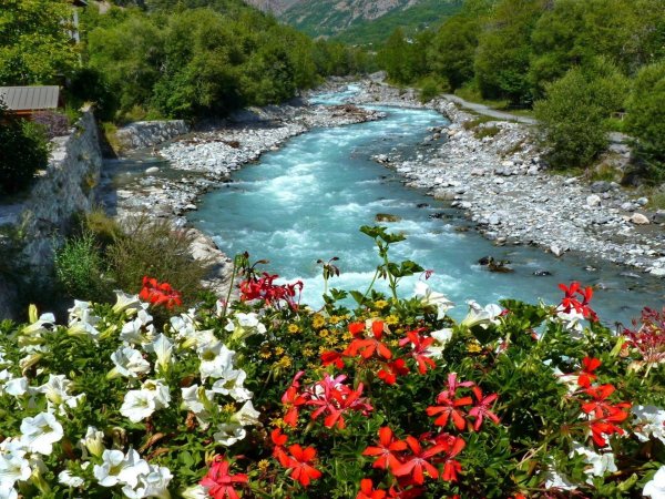 Озеро с цветами