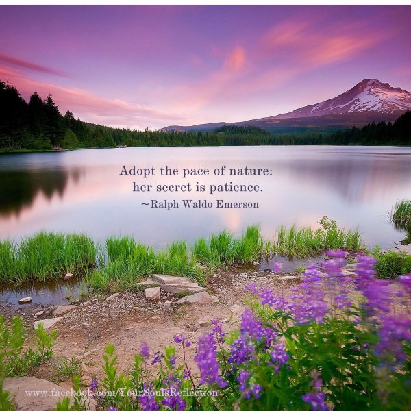 природа красота