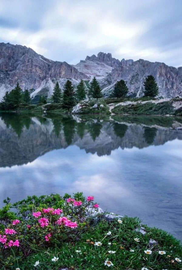 красивые пейзажи природы