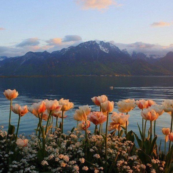 женева озеро леман