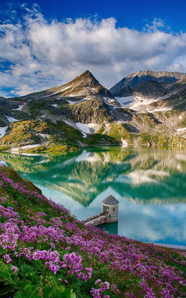 цветущая грузия