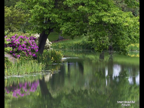 красивые водоемы