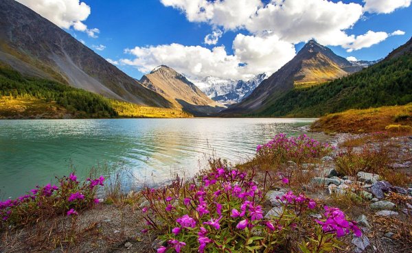 гора белуха горный алтай