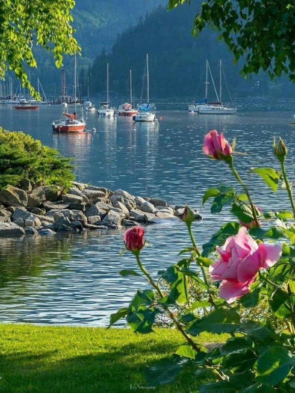 пейзажи красивые