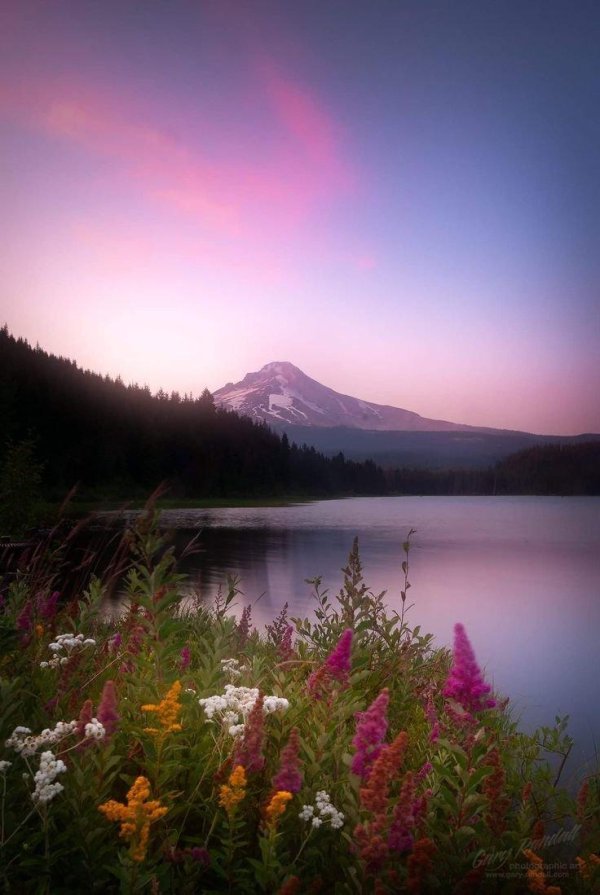 красота природа