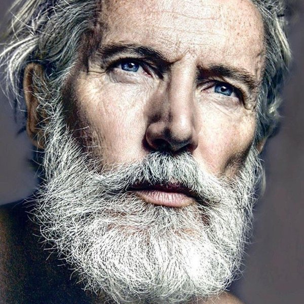 эйден брейди