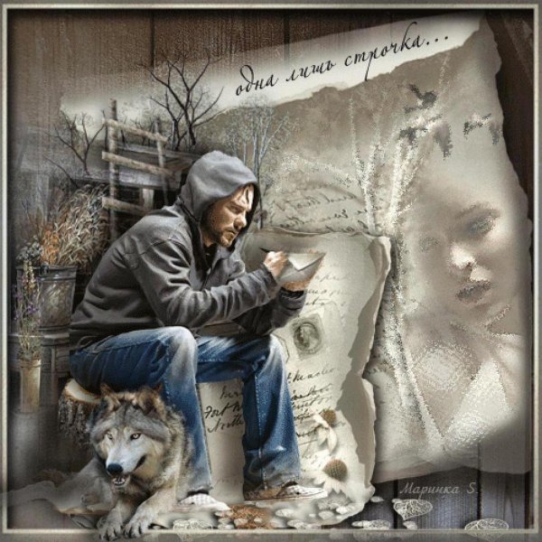 волки волки