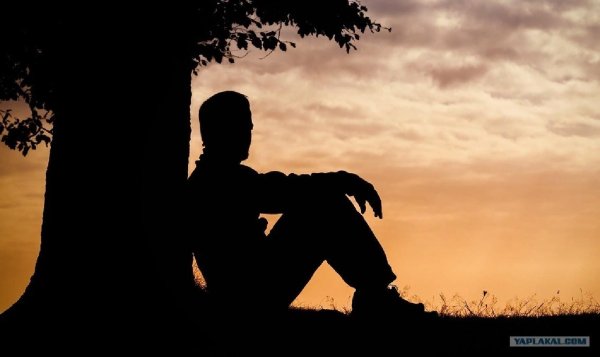 человек под деревом