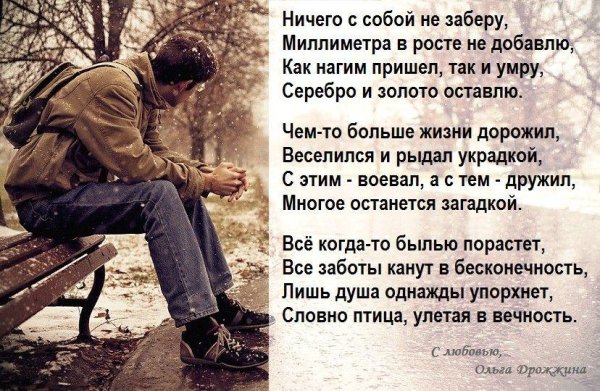 поэзия ольги дрожжиной