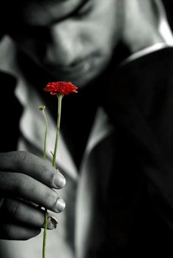 роза в руке мужчины