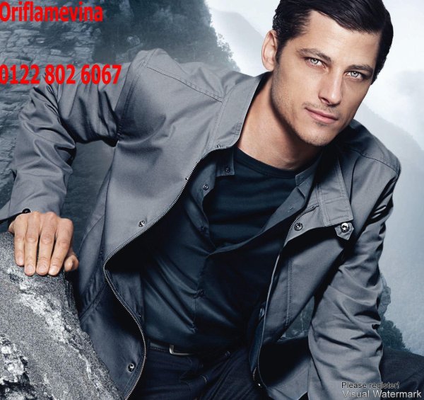 дэвид ганди