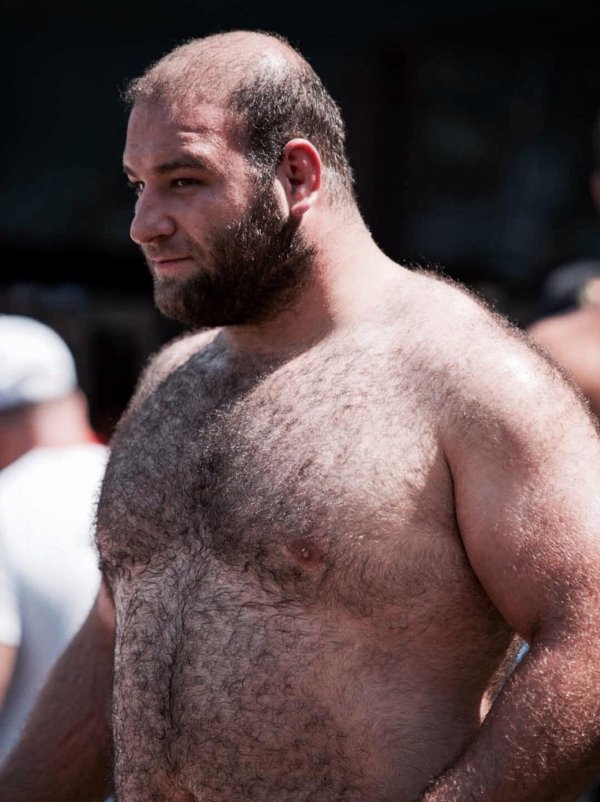 ismail pehlivan bear