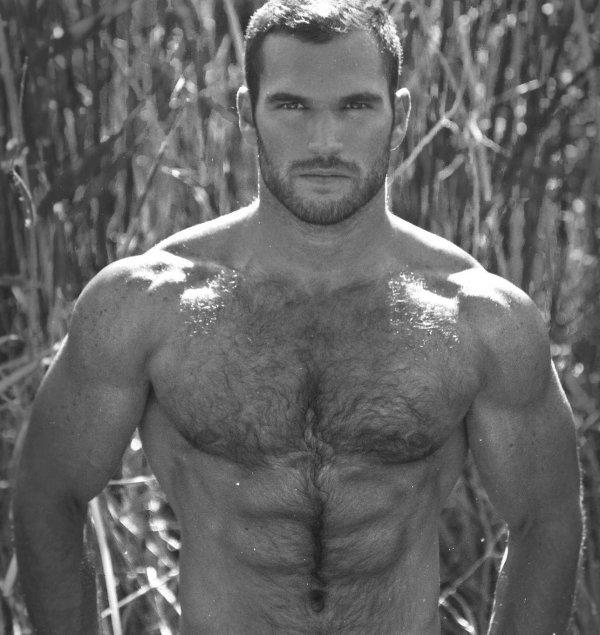 альмог габей