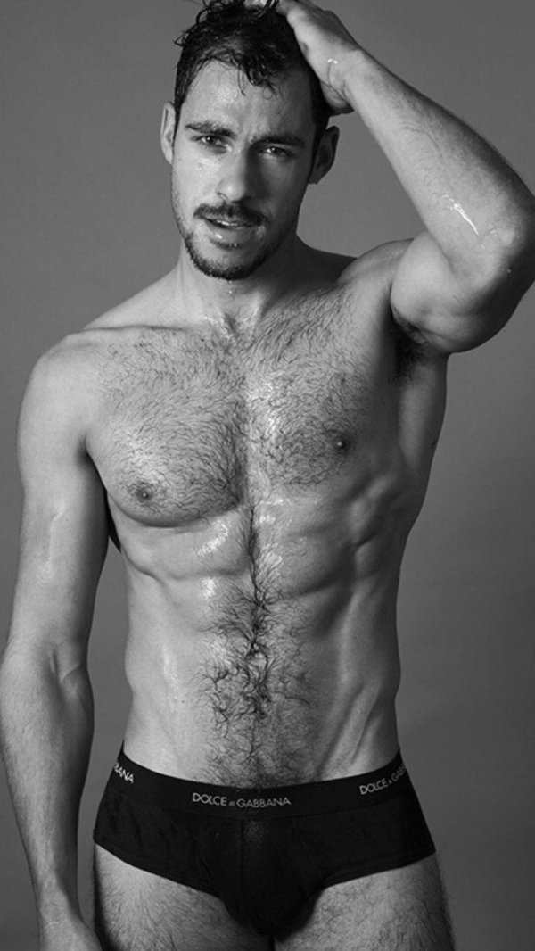 адам димарко член