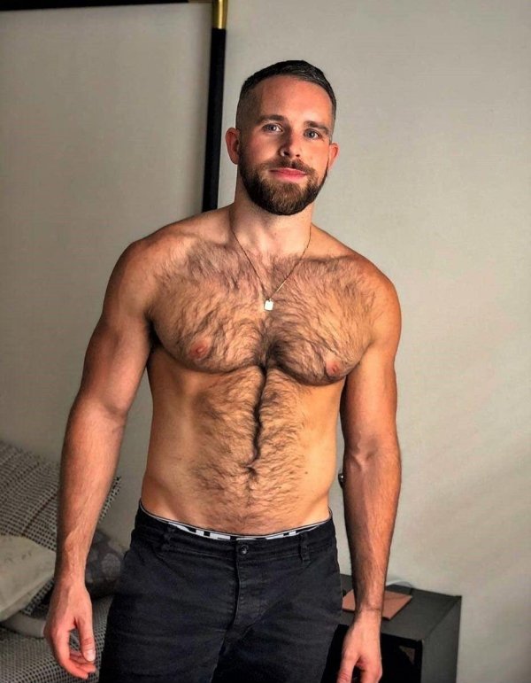 мужская волосатая грудь