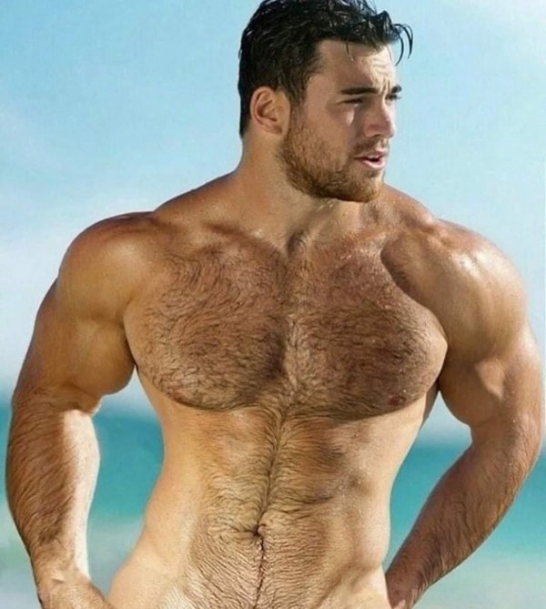 эндрю пападопулос