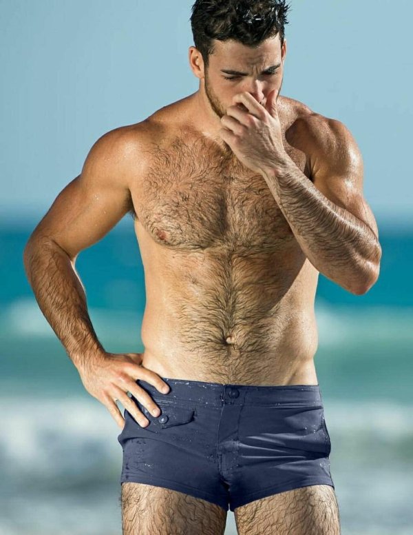 эндрю пападопулос