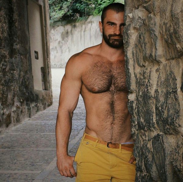 брутальный мужчина волосатый