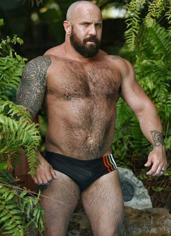 джейк митчелл волосатый геймедведь