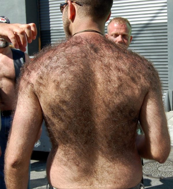 волосатая спина