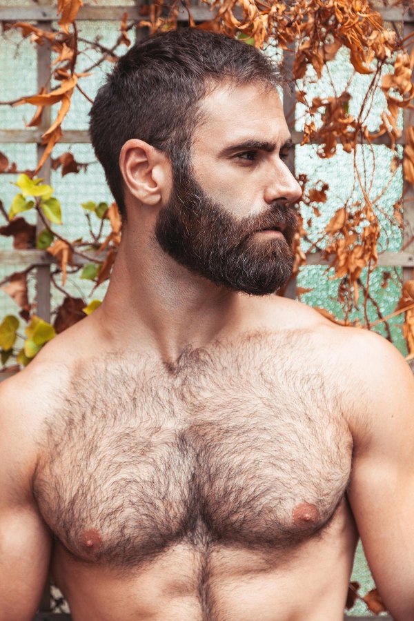 франческ гаско