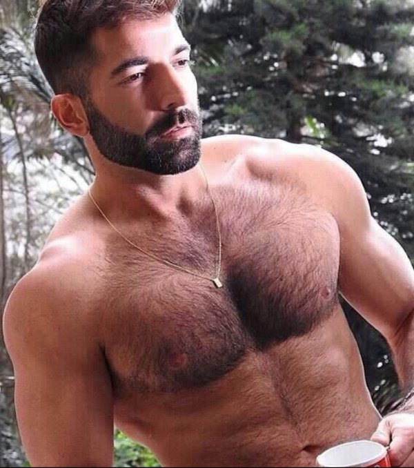 волосатый араб