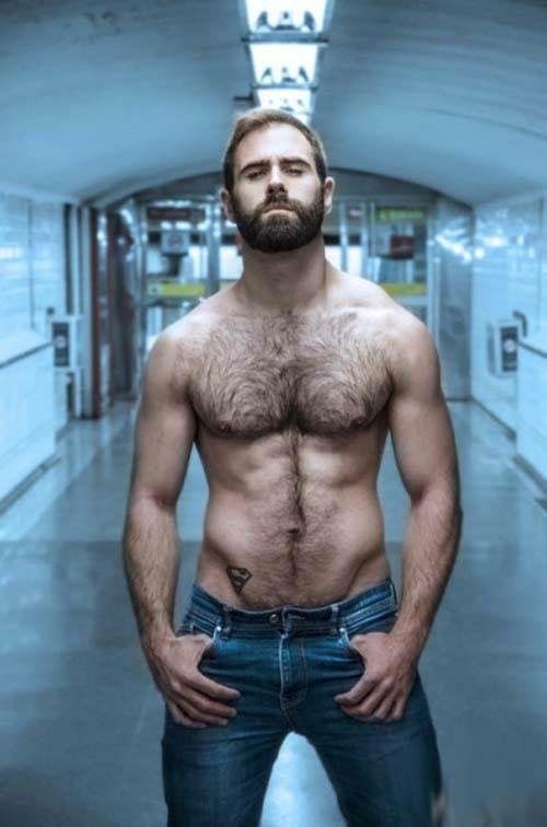 волосатый торс