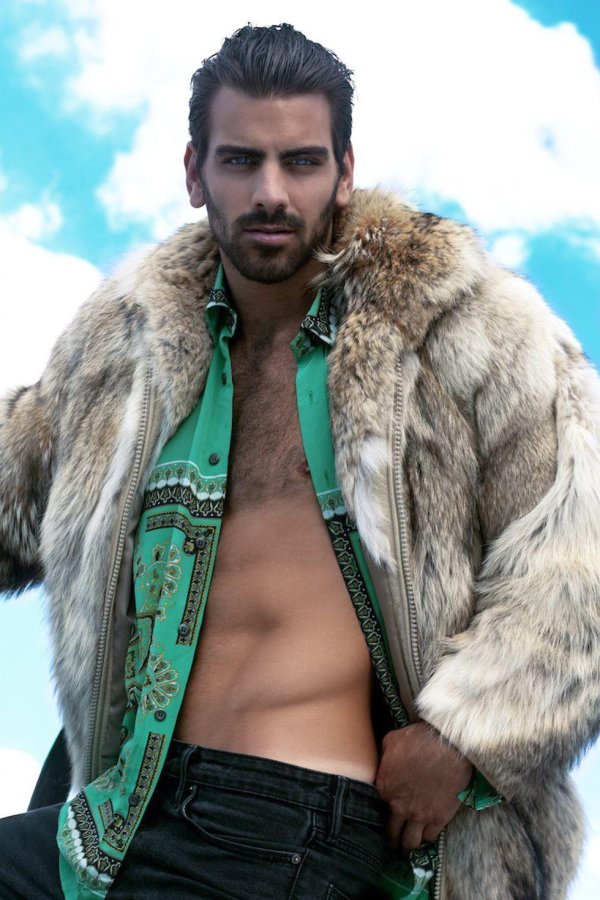 найл димарко