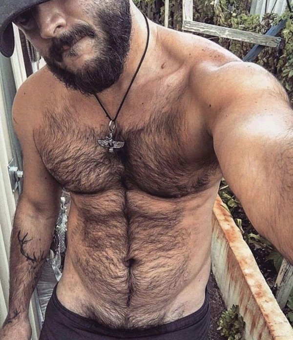 мужская грудь волосатая