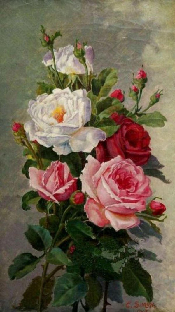 сесил кеннеди розы