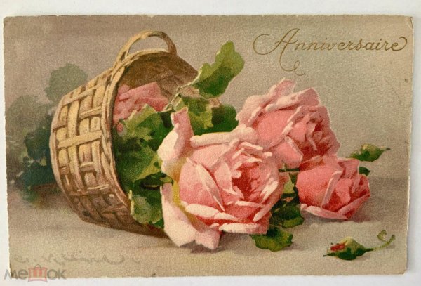 катарина кляйн розы