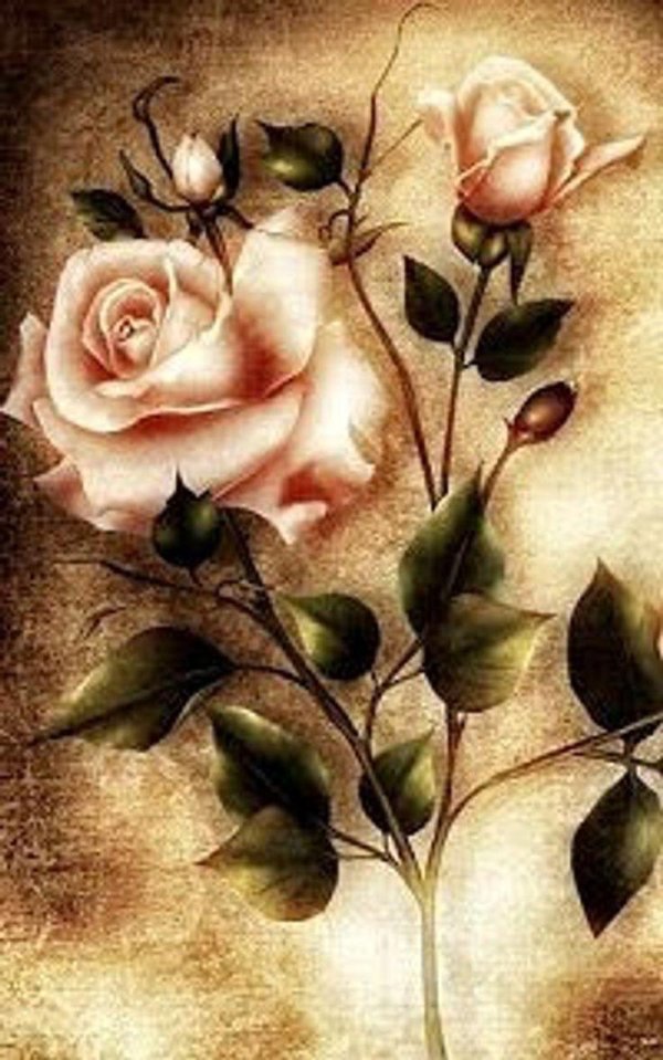 живопись розы