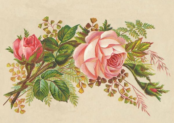 розочки для декупажа