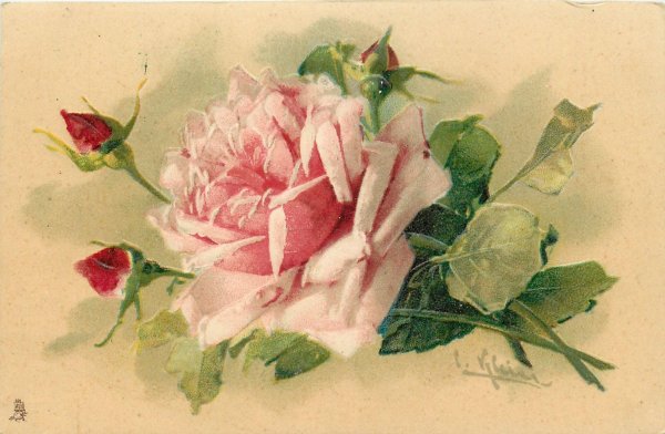 катарина кляйн картины