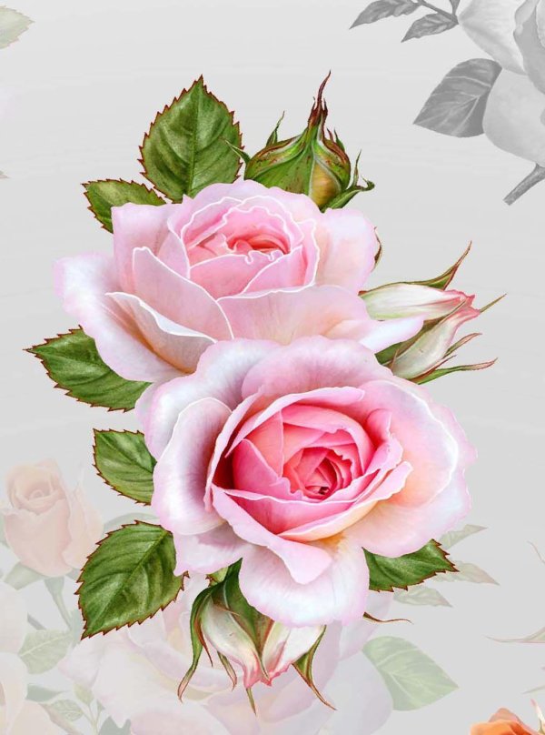 стикеры розы