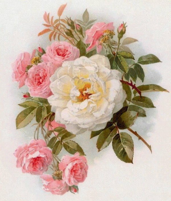 цветочные картины