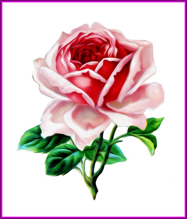 прозрачная роза