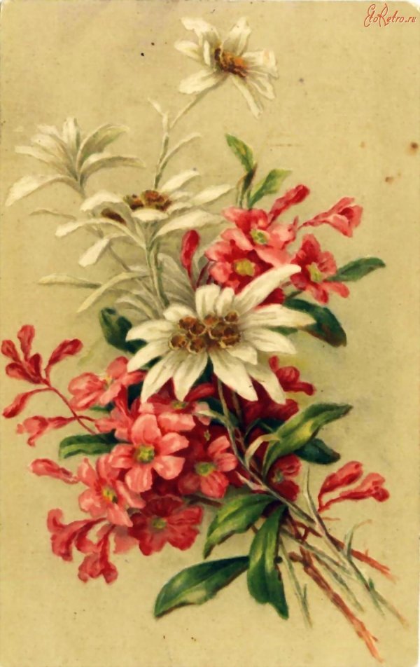 старинная открытка