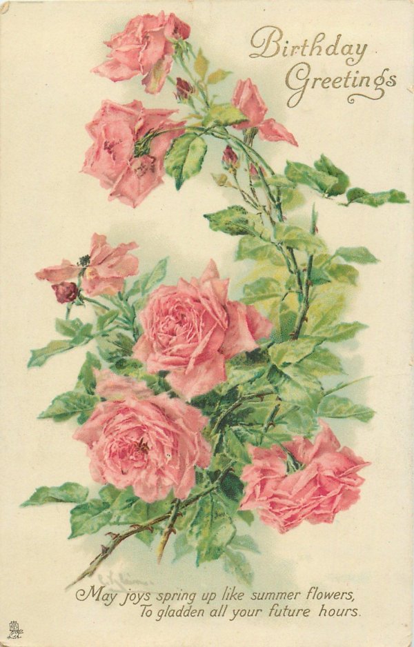 кустовые розы винтаж