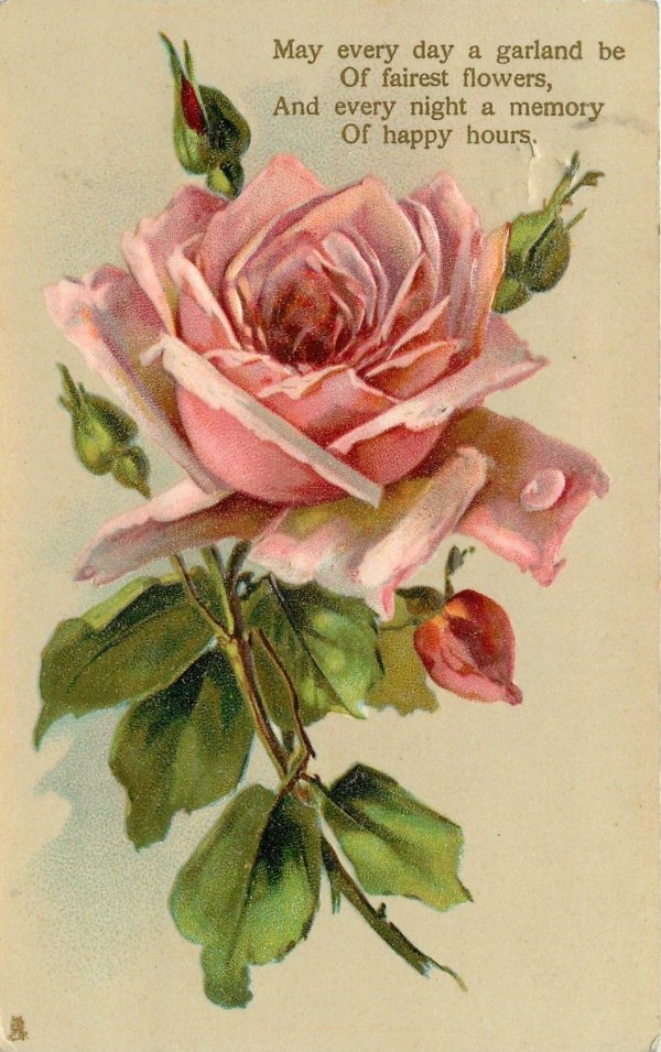 винтажные цветы