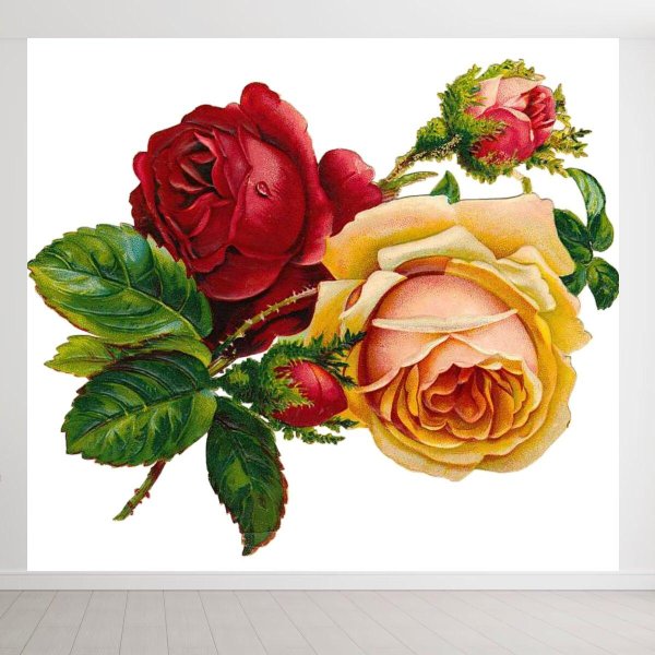 роза клипарт